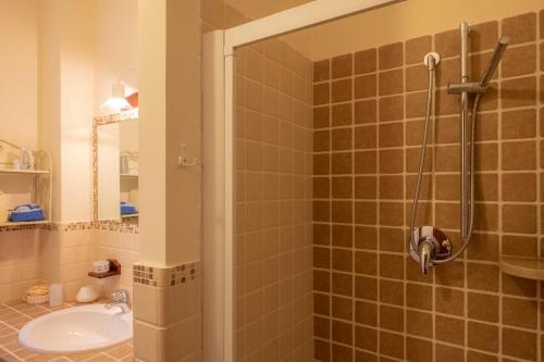  Ulivo Centenario in Selva di Fasano