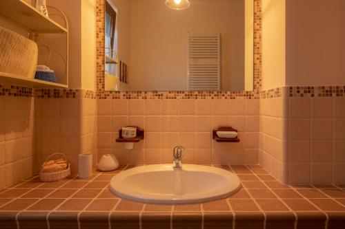  Ulivo Centenario in Selva di Fasano