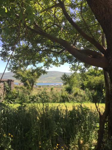 Retro Caravans at Valentia Island Escape in Tralee