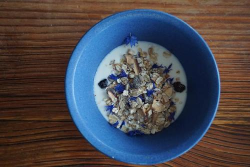 Møllehusets Bed & Breakfast, Nordborg (fotografie 9)
