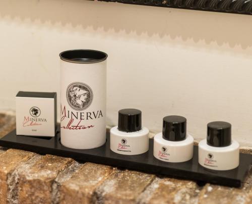 Minerva Relais - image 7