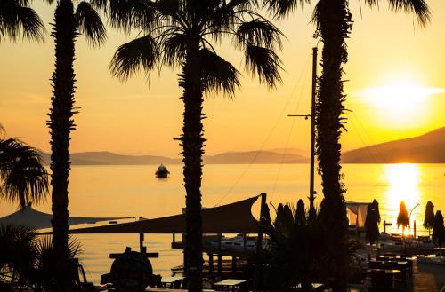 Hotels Image