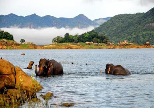 Изглед, Rathnapriya Oasis in Gal Oya National Park
