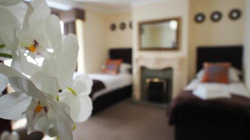 Birmingham Contractor Stays - HS2 Accommodation - Large Groups - 10 Beds & Parking for 5 Vans