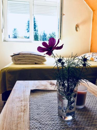 Apartmani Božana Vojinović - image 6