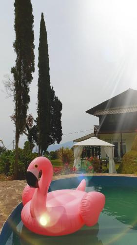 Green Hill Villa