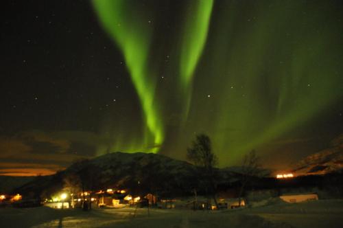 Gullesfjord Camping - Hotel - Gullesfjord