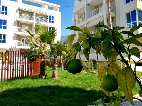 Flori beach Apartment Radhime - image 5