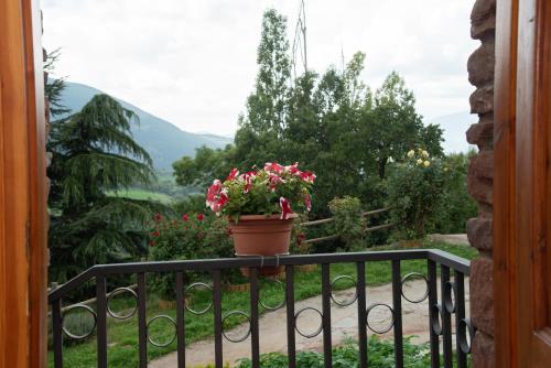 A szálláshely kívülről, Casa Rural Cal Bosch in Soriguera