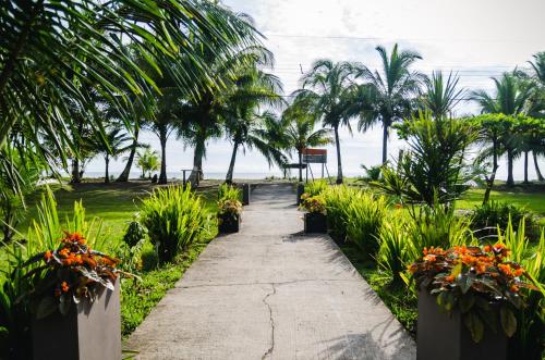 Hotel Tortuguero Beachfront