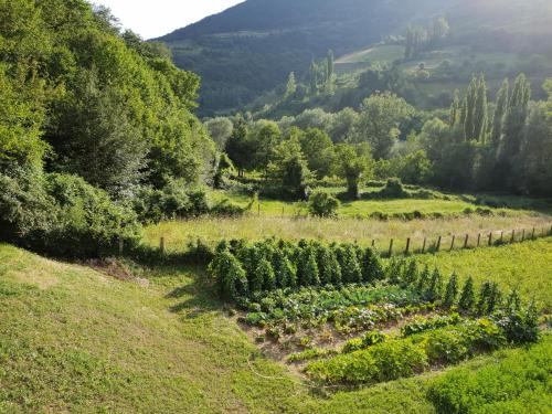 A környék, Agriturismo Il Casale Pica in Ponzano Romano