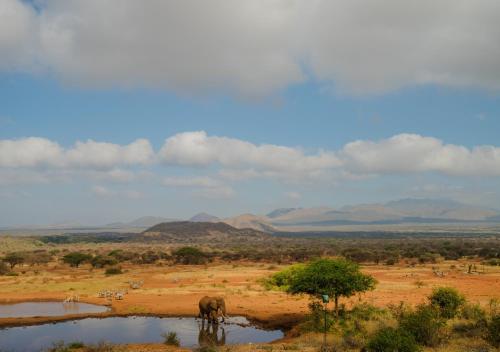 Kilaguni Serena Safari Lodge