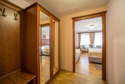 Hotel Cerny Slon - image 14