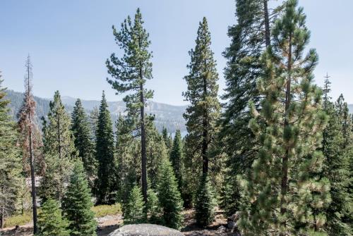 Eagles Nest Condo #88 - image 3