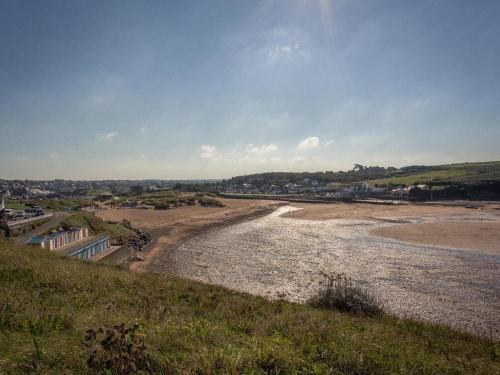 Fritillary Cottage HOLSWORTHY - image 13