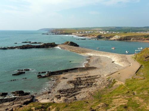 Fritillary Cottage HOLSWORTHY - image 6