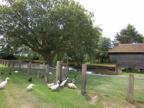 Acorn Cottage Bruton - image 4