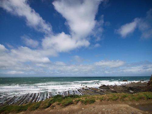 Fritillary Cottage HOLSWORTHY - image 10