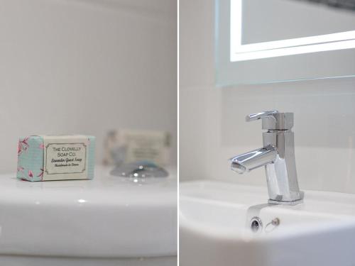 Fritillary Cottage HOLSWORTHY - image 4