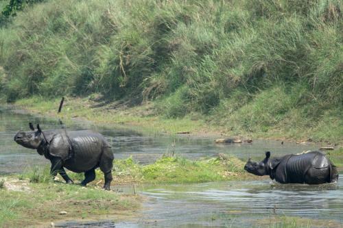 161594276 Tiger Tops Tharu Lodge