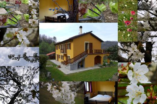 Accommodation in Carrodano Inferiore