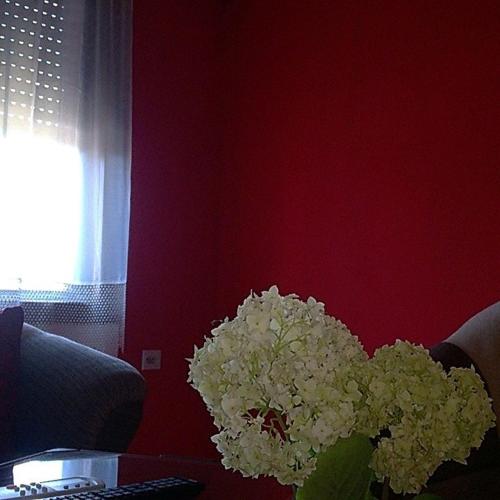 Felix Apartment - main image