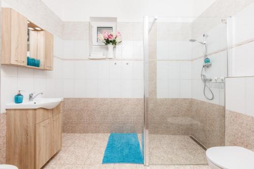 Prague Siesta Apartments - image 4