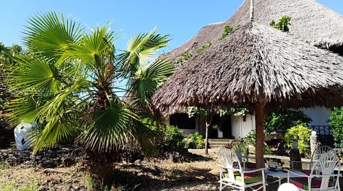 สวน, ฟลามิงโก วิลลา รีสอร์ต (Flamingo Villas Resort) in มาลินด้า