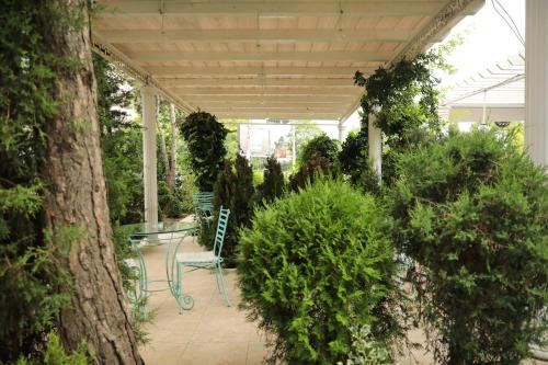 Hotel Ten Constanta - image 3