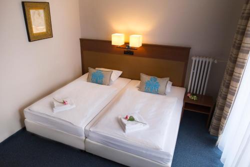 Double or Twin Room image 10