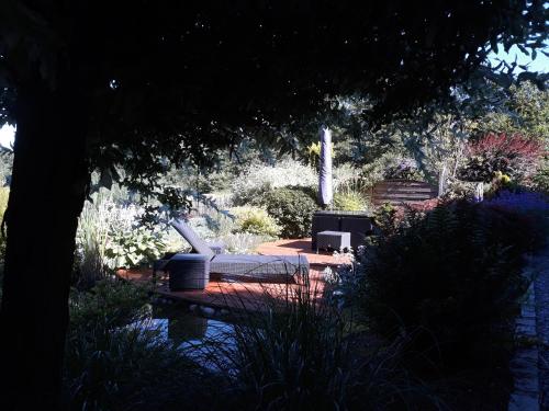  les rainettes in Grand-Halleux