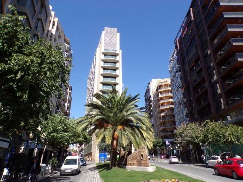 Big Room Holiday Alicante 3