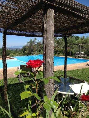 La Casetta - Casa di Campagna - image 7