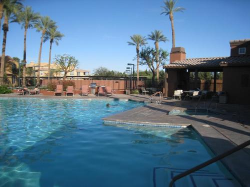 Codorniz in La Quinta, USA
