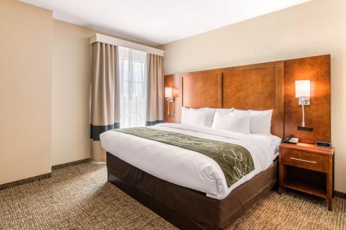 Comfort Suites Denver Near Anschutz Medical Campus In Co