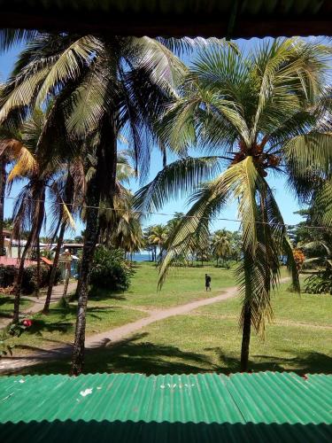 Vistas, Hospedaje Meryscar in Tortuguero