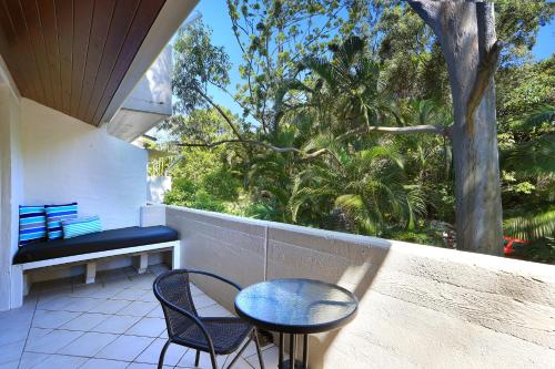 Tea Trees, Noosa Heads (foto 7)
