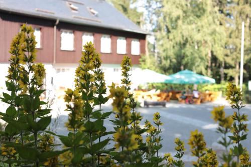 Bürger- und Berggasthaus Scheibenberg in Scheibenberg, Deutschland