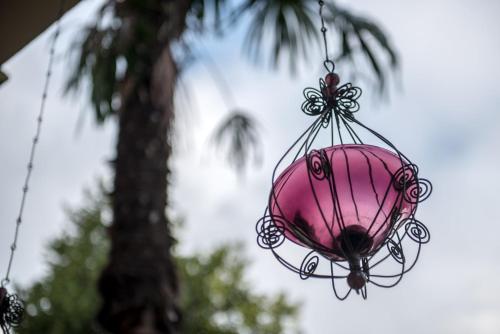 Palm Gallery Hotel - image 3