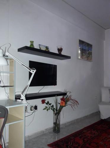 Αnna's Home!!!Holidays in beautiful Athens, Atény (fotografie 8)