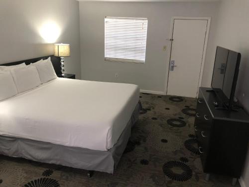 King Room image 4