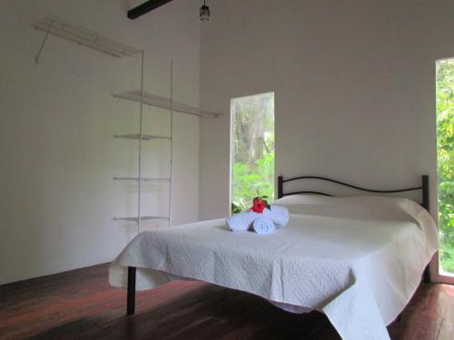 Apartamento Bambu
