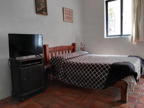 Olga Querida B&B Hostal in Guadalajara, Mexico