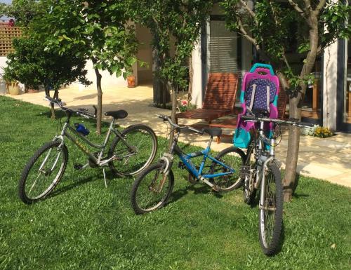 Casa da Tapada - Grupo Casas Vale do Lima