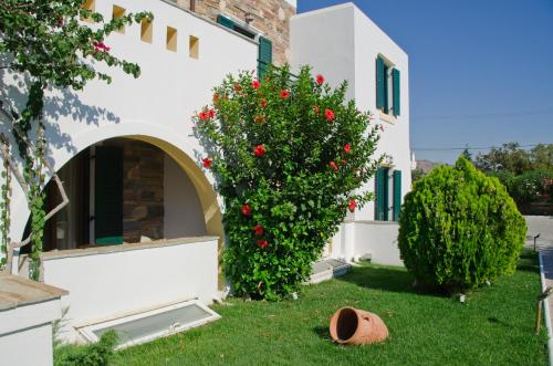 Naxos Resort Beach Hotel - image 9