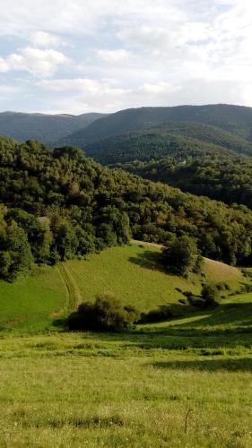 Les Granges de la hulotte, les Mésanges