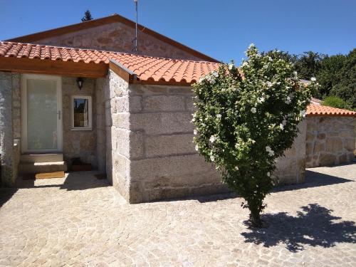 Accommodation in Oliveira de Barreiros