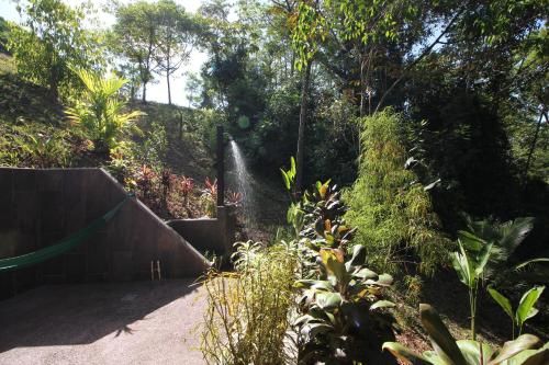 Oasis de las Palmas