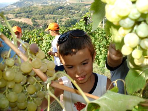 Agriturismo Ca' Isotta