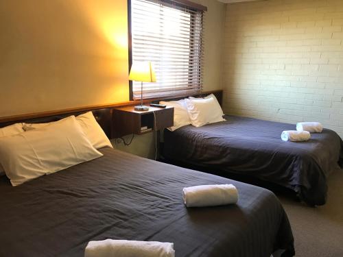 Red Steer Hotel Motel Wagga Wagga
